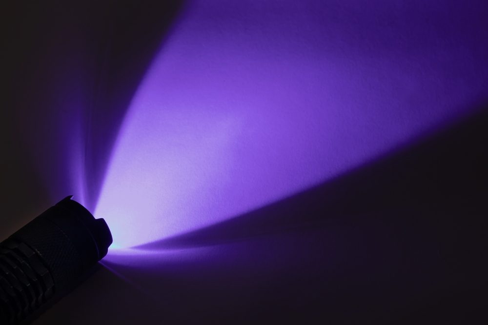 The wavelength of LED lights